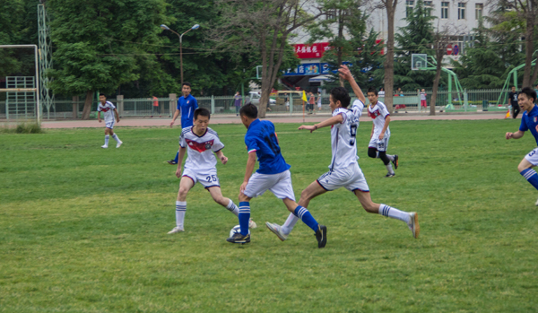 以期在球场 以期在球场