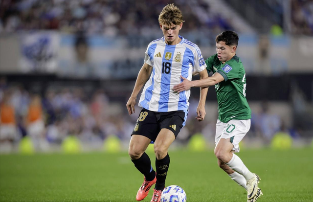 决策和肋部 决策和肋部